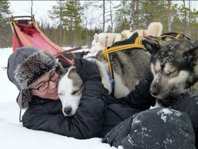 Mit Herrchen darf auch mal geschmust werden (Foto: Jokkmokkguiderna)