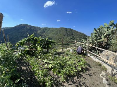 abenteuerurlaub f�r familien und singles