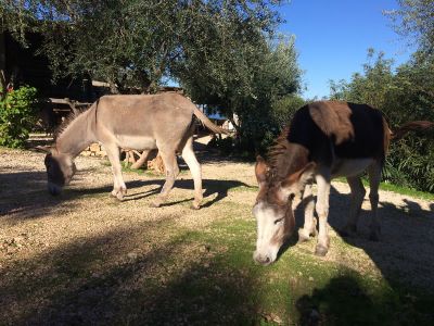 Natururlaub mit Kindern Italien 