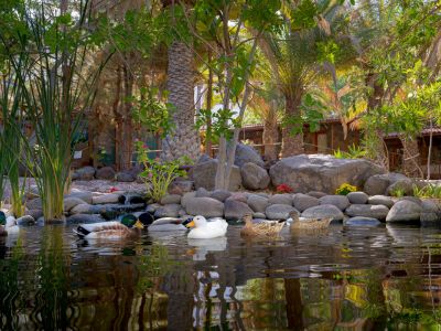 Agriturismo am Meer auf Gran Canaria mit Garten