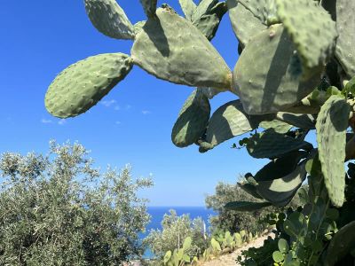 natururlaub f�r familien und singles in s�ditlaine