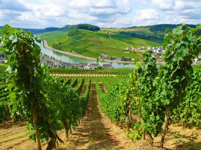 wandern ohne gepaeck moselblick nittel