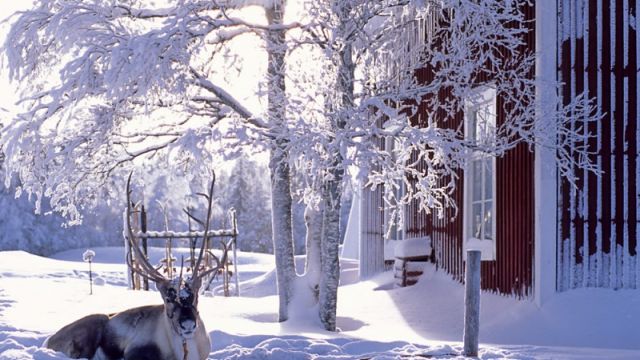 Wohlf�hlurlaub in Lappland