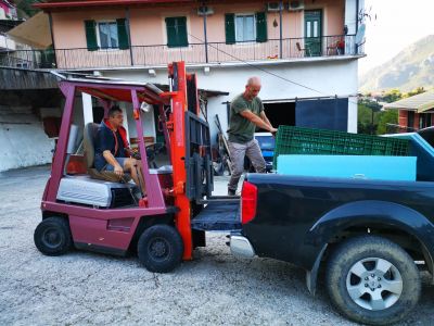 Oliven kommen in der M�hle an