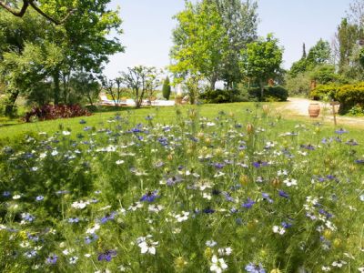 Urlaub Toskana Sommer