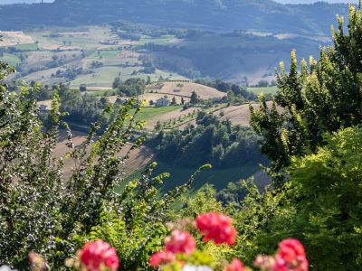 Landhotel Marken Boutique-Hotel Montelparo Ancona